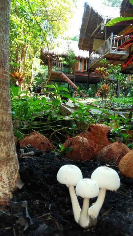 Kafair Hut (Adults Only) Hotel Koh Lipe Luaran gambar