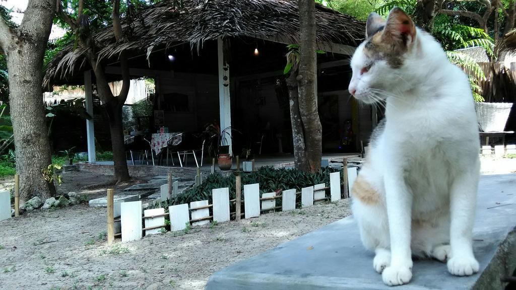 Kafair Hut (Adults Only) Hotel Koh Lipe Luaran gambar